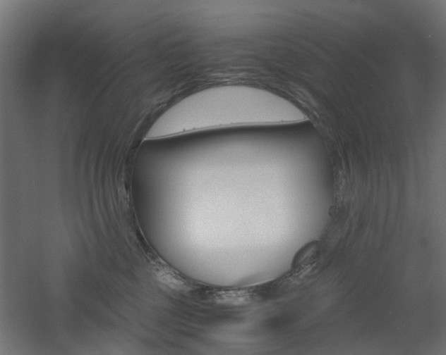 X0000060780377200511101014