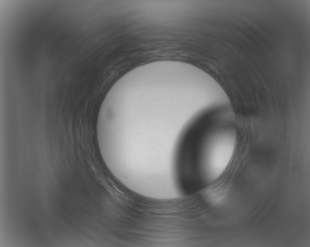 X0000060780380200511101014