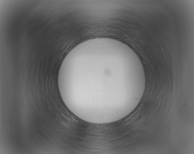X0000060780384200511101014
