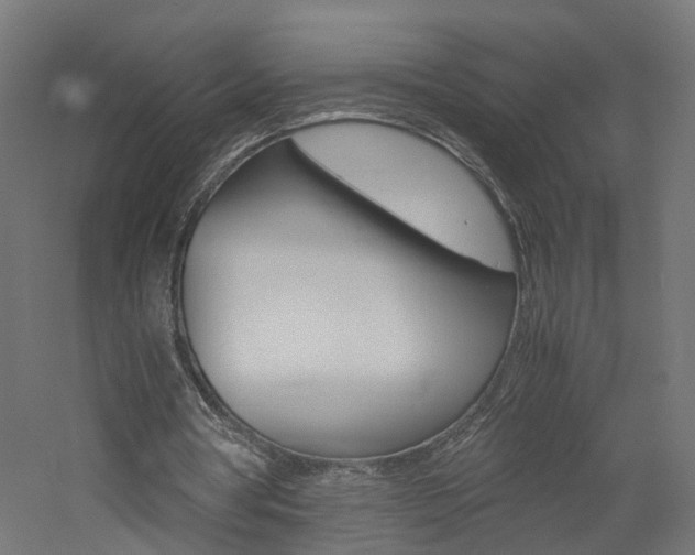 X0000060780386200511101014