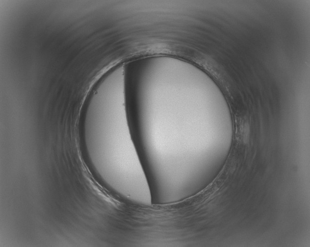 X0000060780390200511101014
