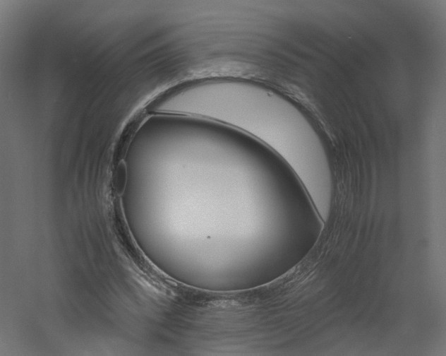 X0000060780392200511101014