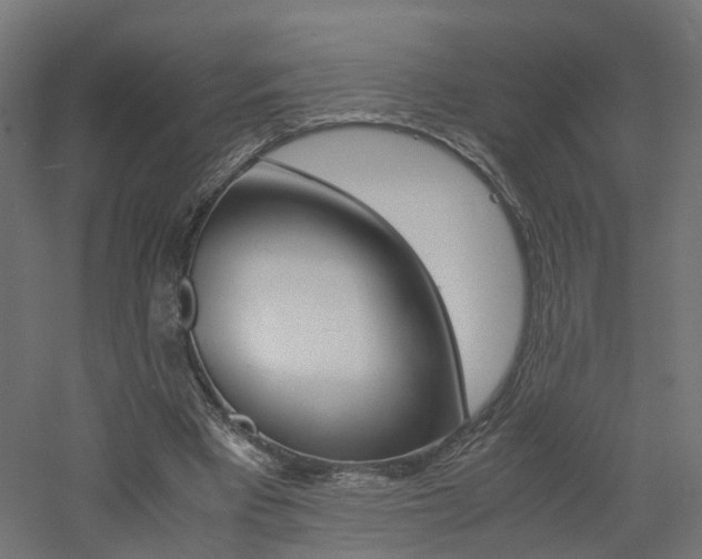 X0000060780393200511101014