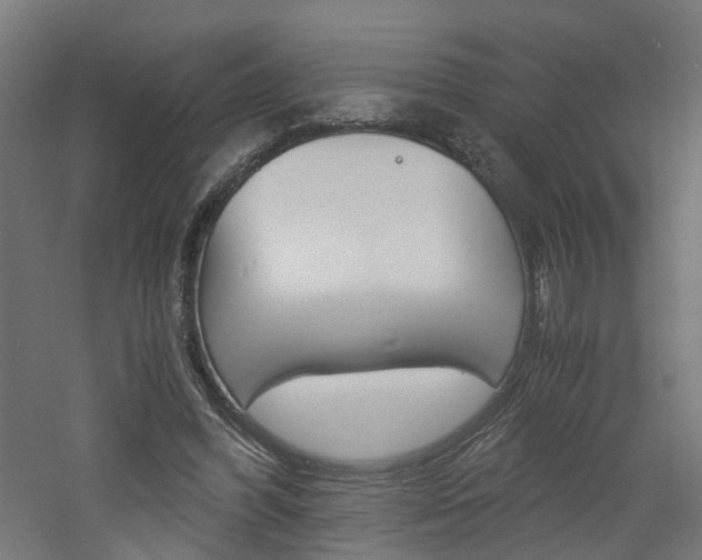 X0000060780396200511101013