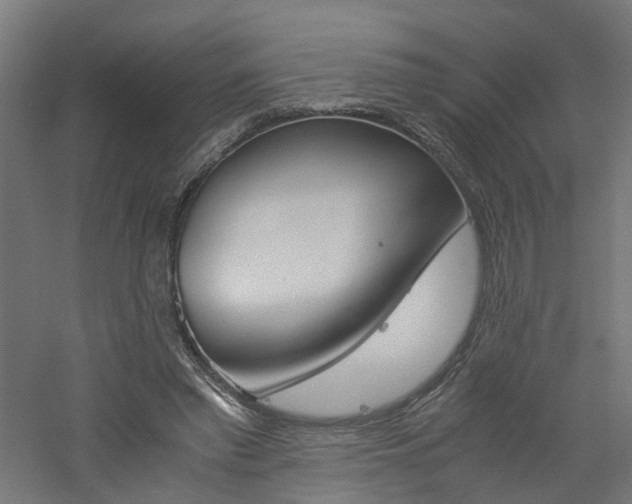 X0000060780397200511101013