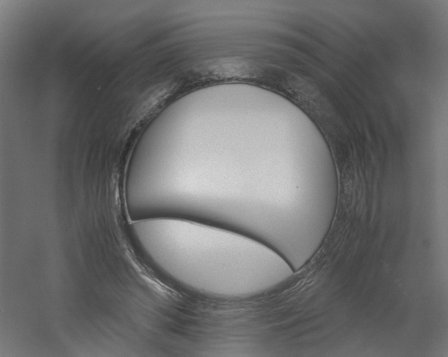 X0000060780398200511101013