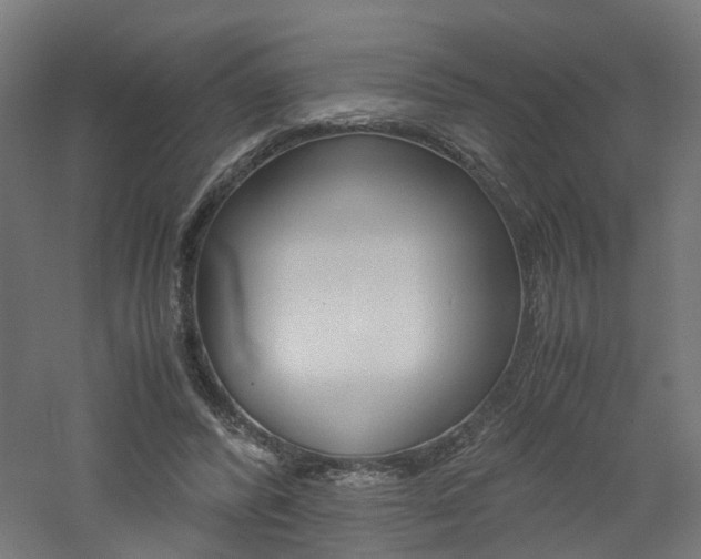 X0000060780400200511101013