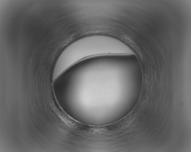 X0000060780401200511101013