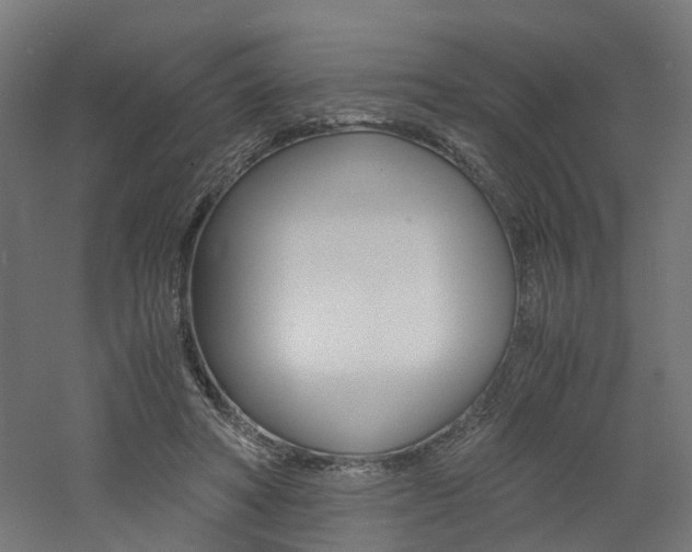 X0000060780402200511101013