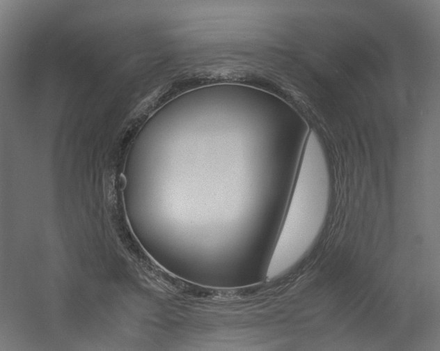 X0000060780403200511101013