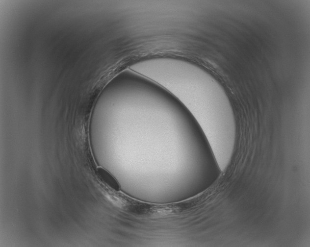 X0000060780405200511101013
