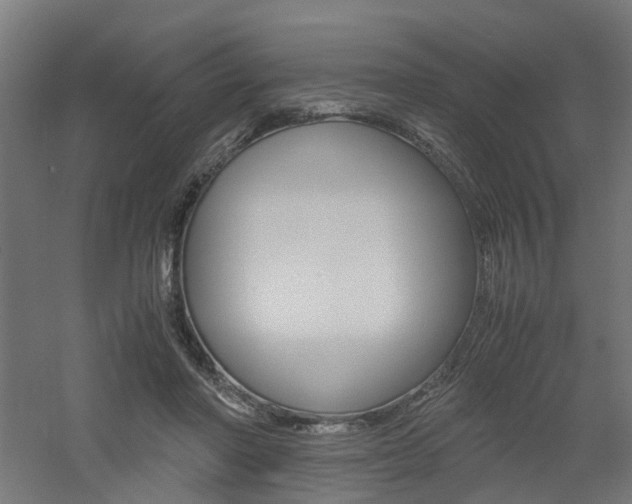 X0000060780406200511101013