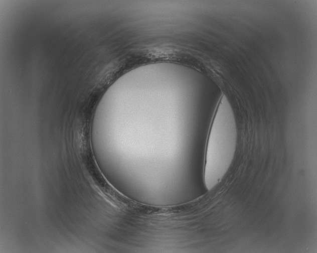 X0000060780408200511101013