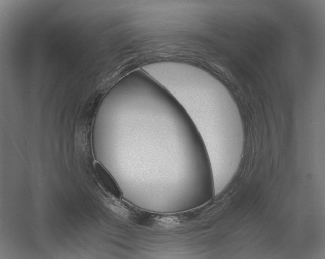 X0000060780409200511101013