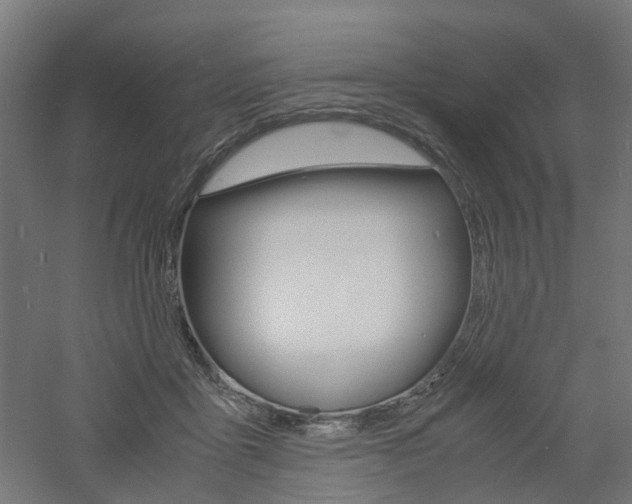 X0000060780411200511101013