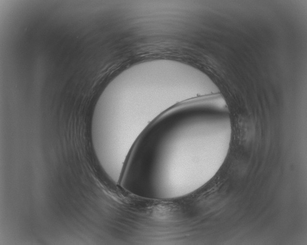 X0000060780412200511101013