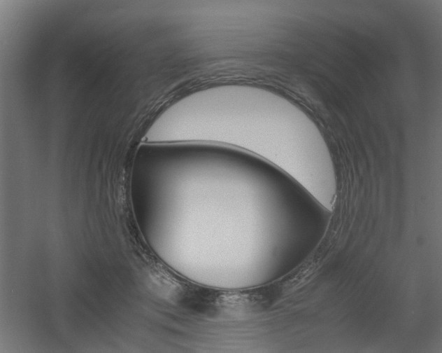 X0000060780413200511101013