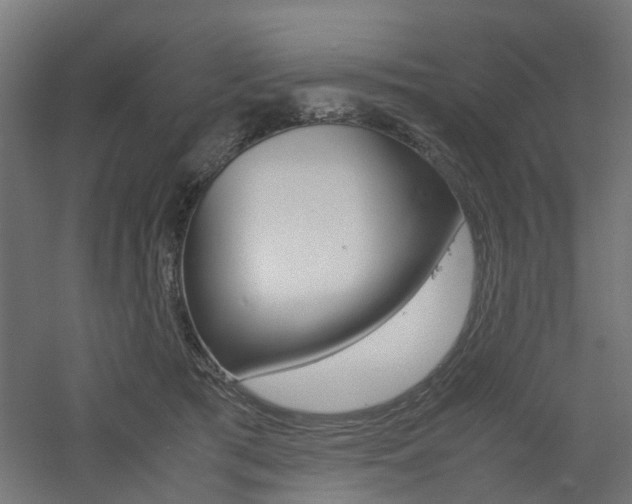 X0000060780417200511101013
