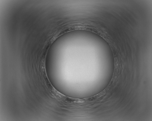 X0000060780419200511101013