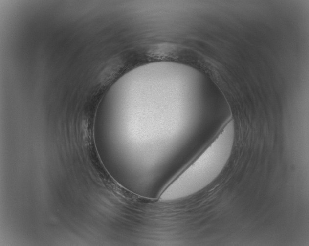 X0000060780420200511101013