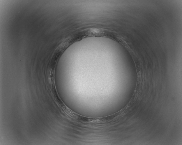 X0000060780423200511101013