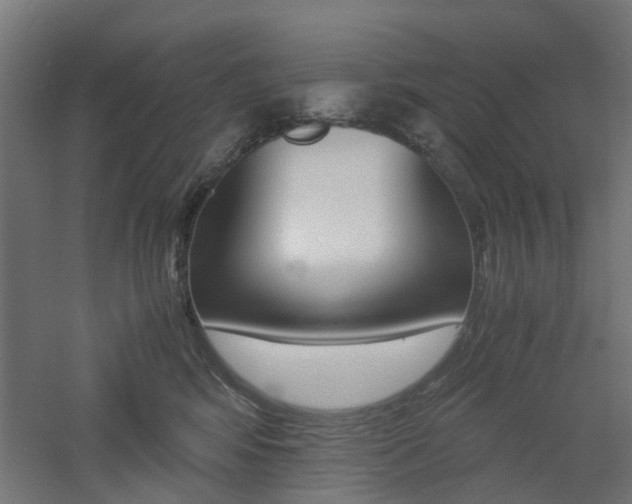 X0000060780424200511101013