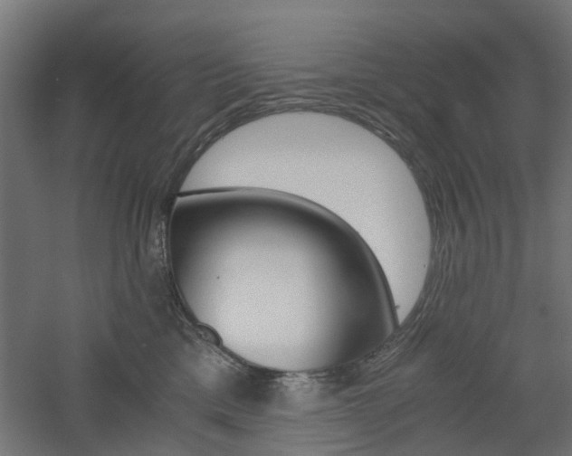X0000060780425200511101013