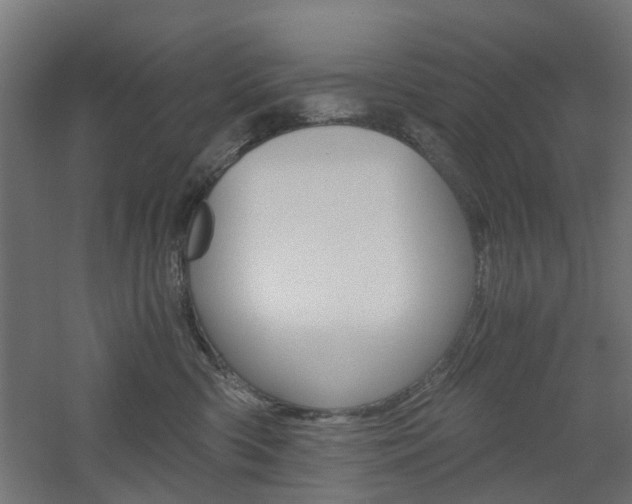 X0000060780426200511101013