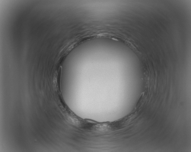 X0000060780427200511101013