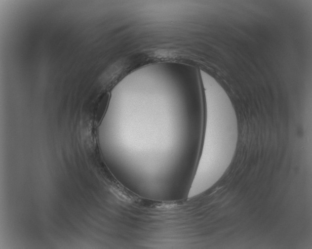 X0000060780428200511101013