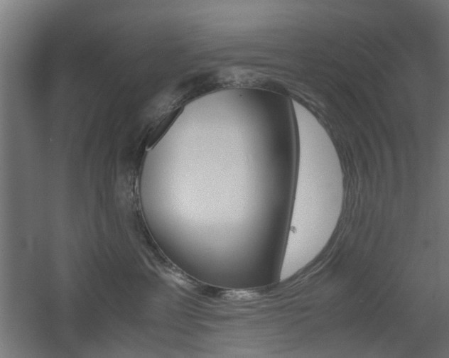 X0000060780429200511101013