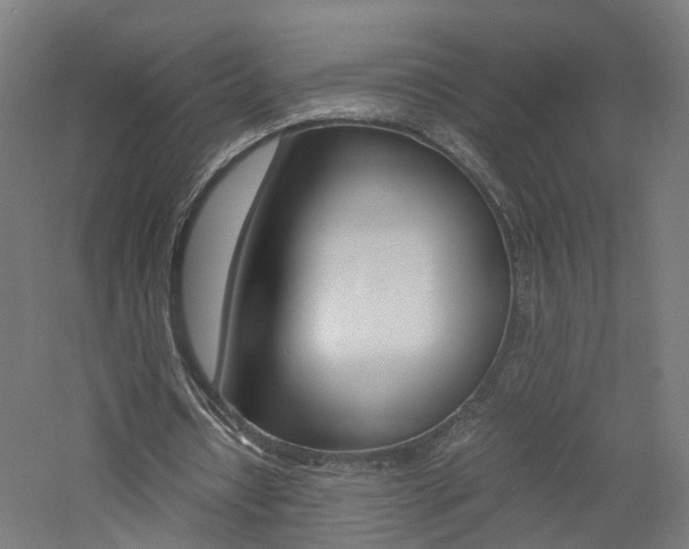 X0000060780434200511101012