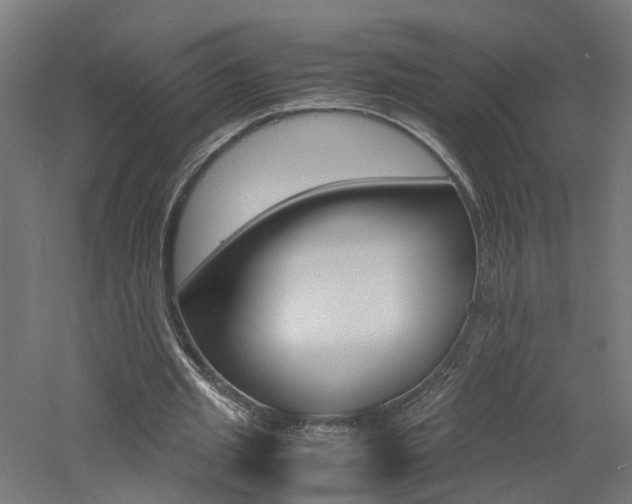 X0000060780437200511101012