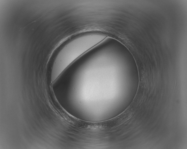 X0000060780440200511101012