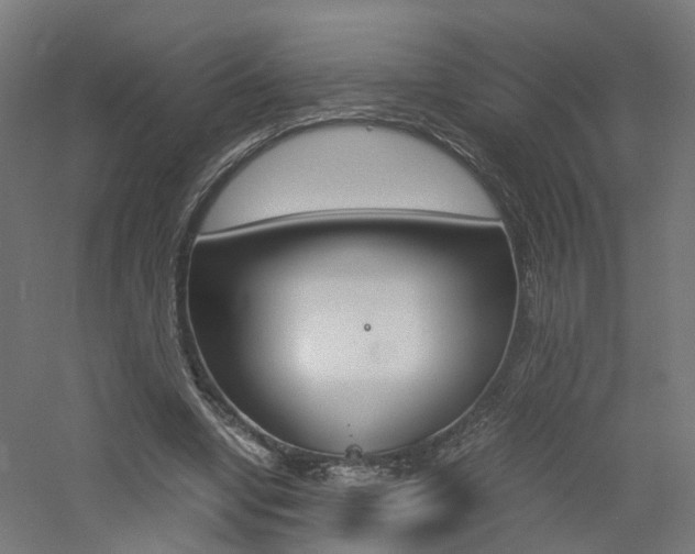 X0000060780442200511101012
