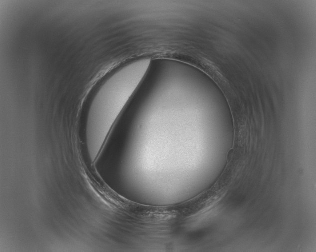 X0000060780443200511101012