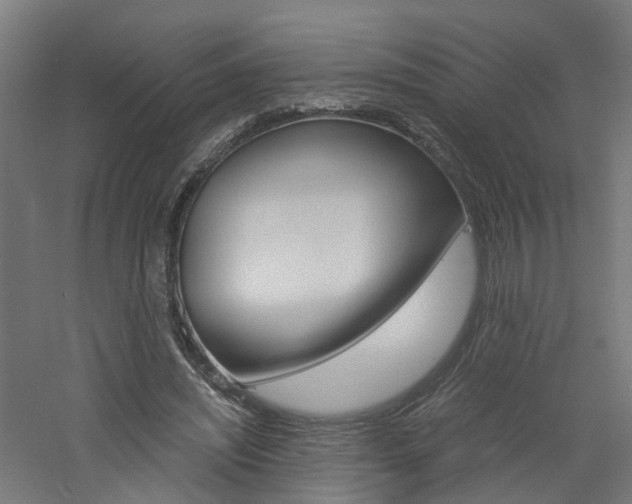 X0000060780444200511101012