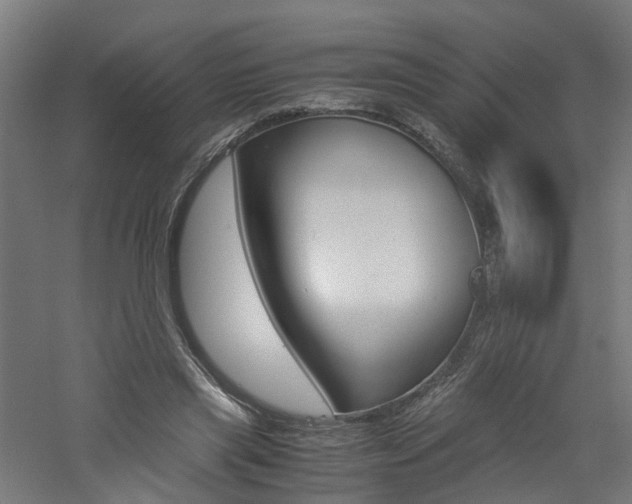 X0000060780445200511101012