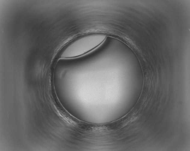 X0000060780446200511101012