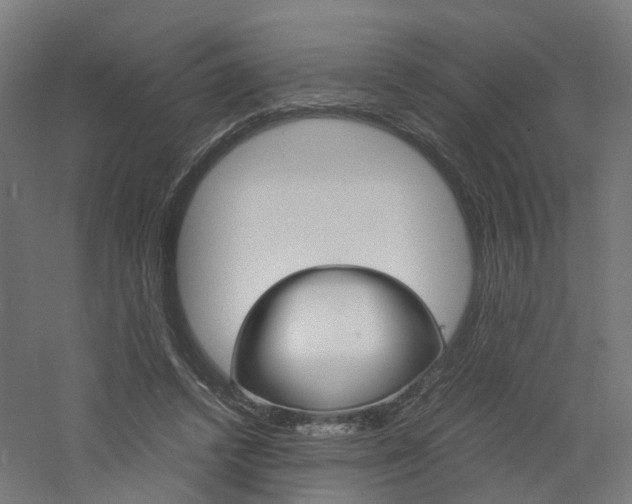 X0000060780448200511101012