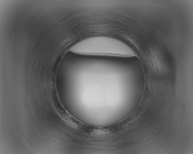 X0000060780455200511101012