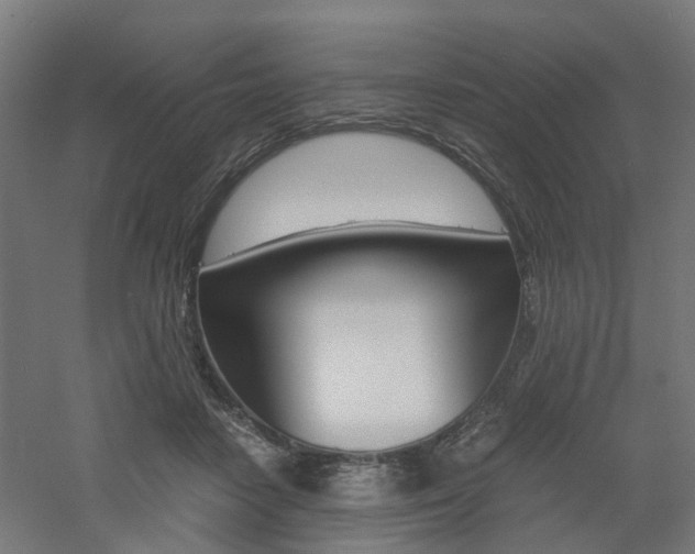 X0000060780458200511101012