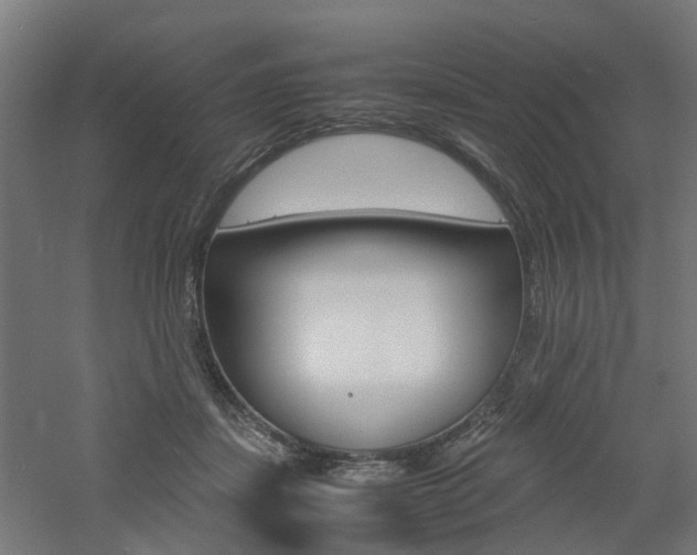 X0000060780459200511101013