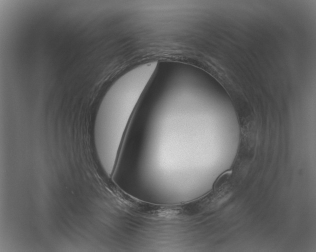 X0000060780462200511101013