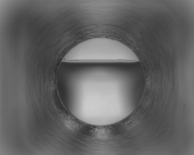 X0000060780464200511101013