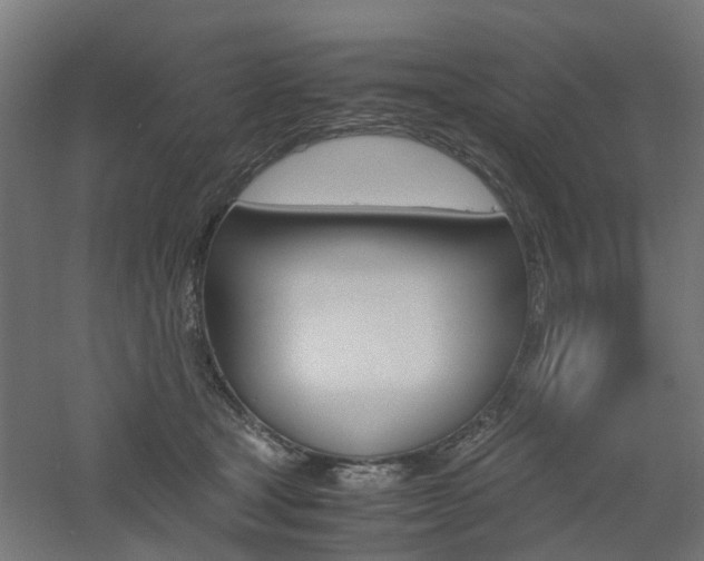 X0000060780465200511101013