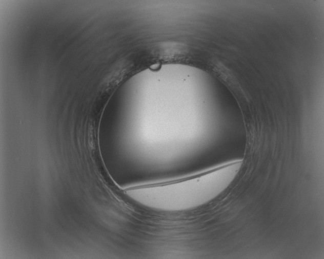 X0000060780470200511101013