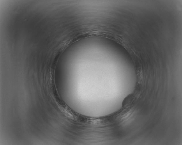 X0000060780472200511101013
