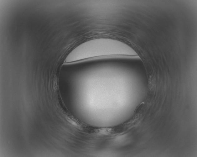 X0000060780474200511101013