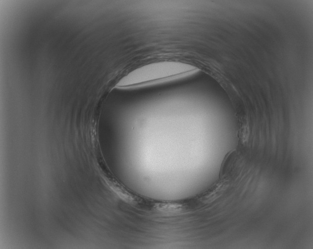 X0000060780476200511101013